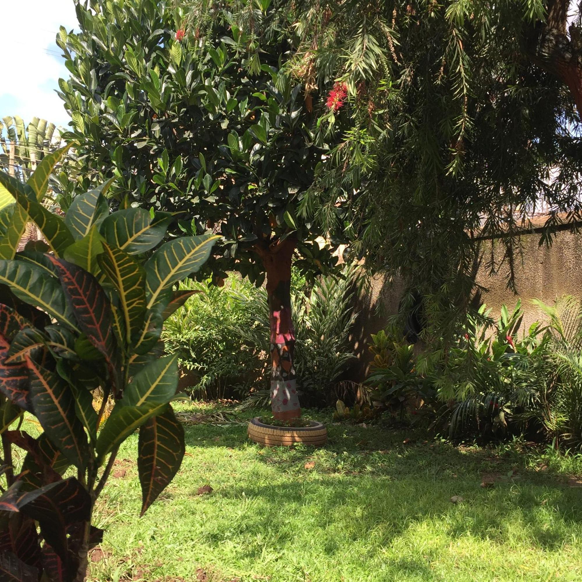 קמפאלה Tgs Homestay מראה חיצוני תמונה